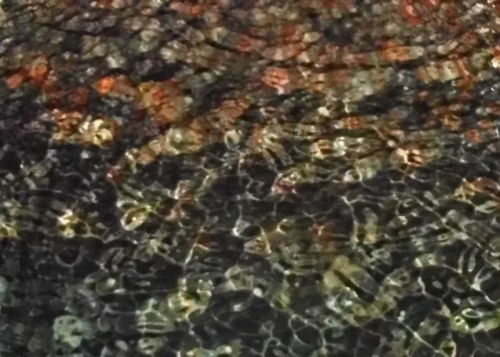 Bed & Breakfast La Pergola Marettimo