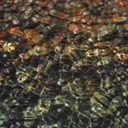 Nocleg ze śniadaniem La Pergola Marettimo